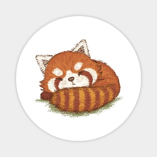 Red panda sleeping Magnet